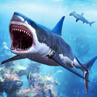 白鲨攻击任务3D(White Shark Attack Mission 3D)