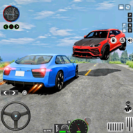 车祸司机事故3D(Car Crash Simulator Games)