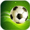 胜利足球(Winner Soccer Evolution)