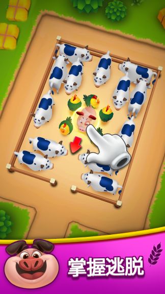动物农场果酱停车3D(Animal Farm Jam)