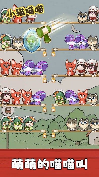 小猫喵喵