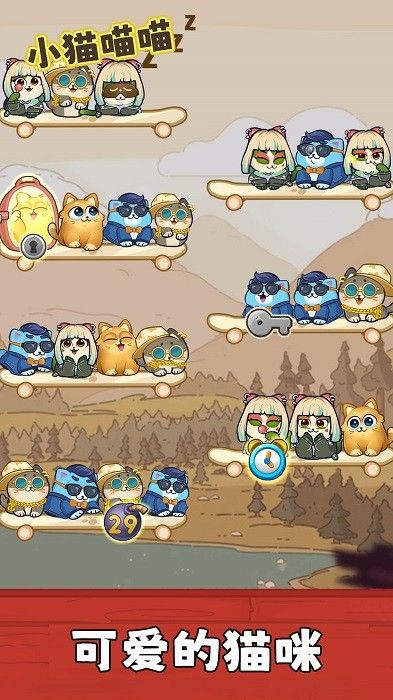 小猫喵喵