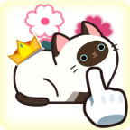 救救这猫咪