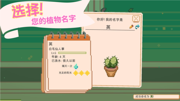 窗口花园(Window Garden)