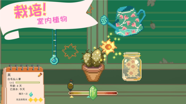 窗口花园(Window Garden)