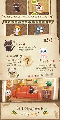 猫的秘密森林(Secret Cat Forest)