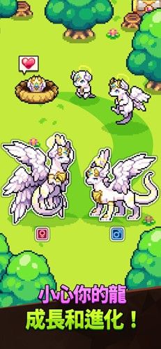 龙村Collection(Dragon Village Collection)