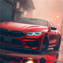 驾驶学校模拟(Driving School Sim)