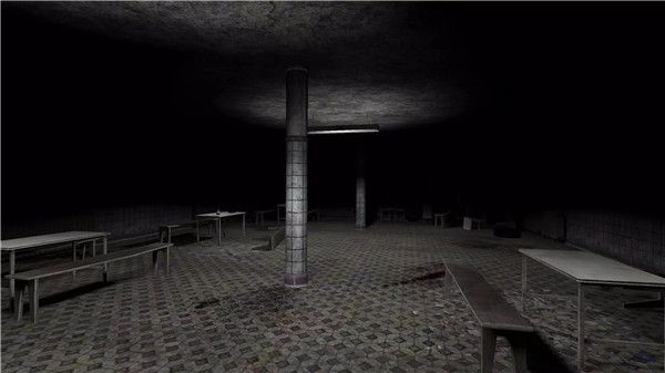 The Ghost联机版本