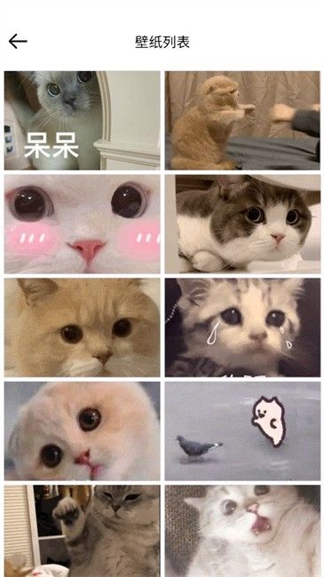 壁纸集