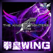乱舞拳皇Wing梦幻百人版