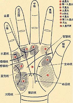 手相怎么看男士-男人手相图解大全
