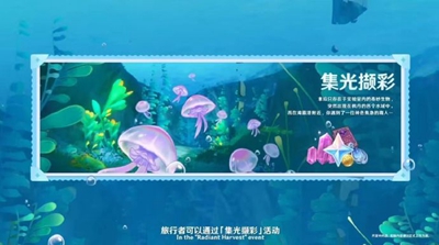 原神4.1版本有哪些新活动-原神4.1版本新活动介绍一览