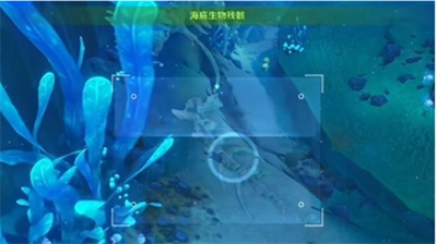 原神水下沉落物位置在哪-原神水下沉落物位置介绍一览