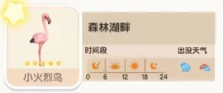 心动小镇小火烈鸟在哪