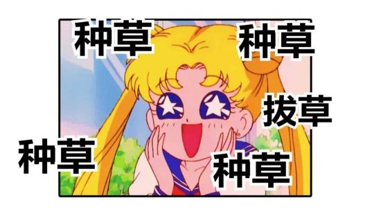 女性种草社区APP推荐